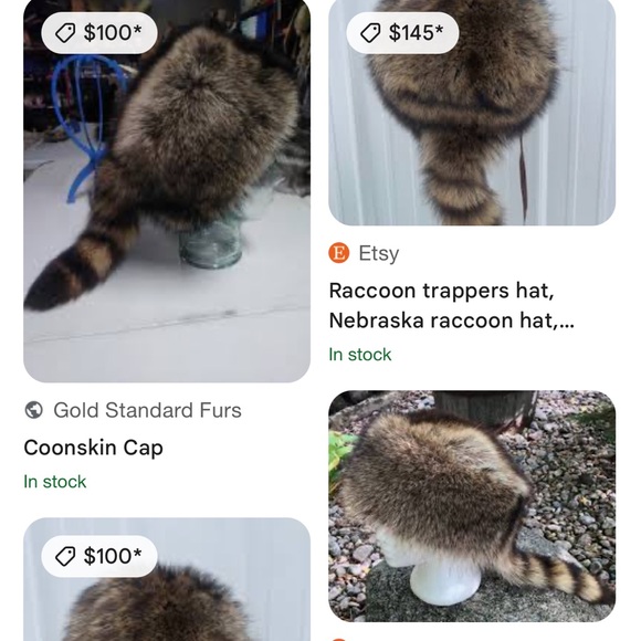 #Raccoon Hat - Picture 7 of 9